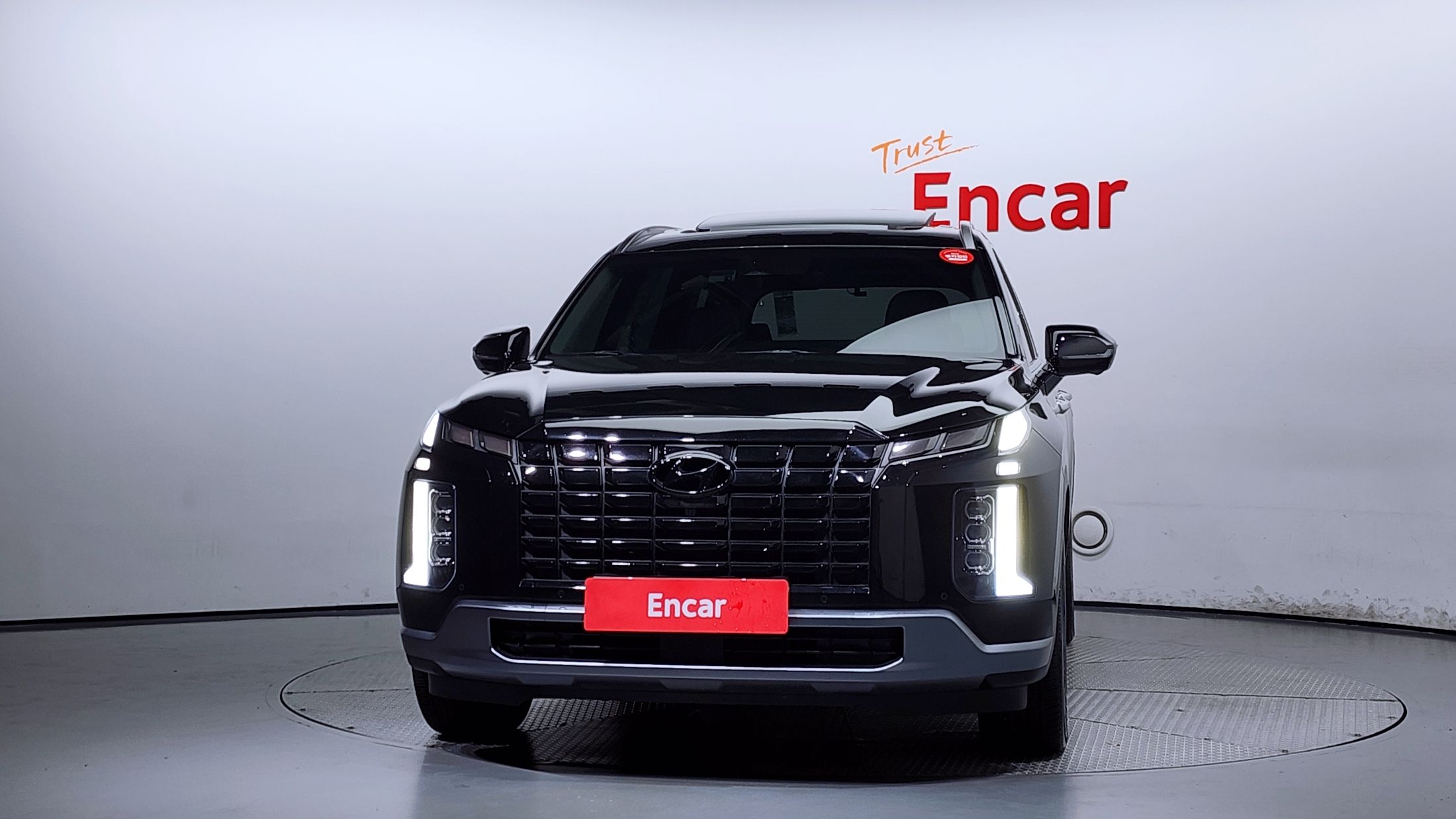 HYUNDAI PALISADE 2024