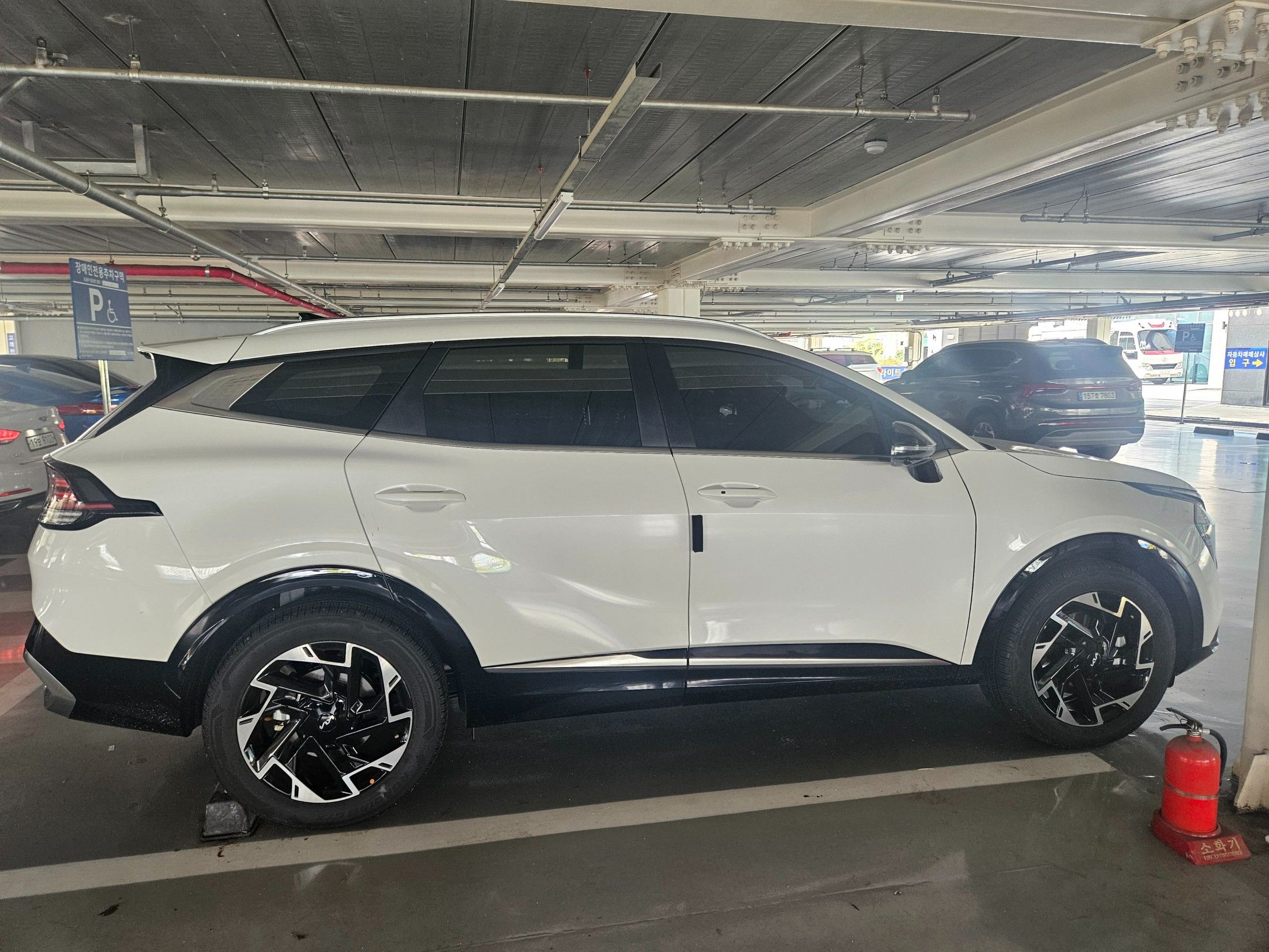 KIA SPORTAGE 2024