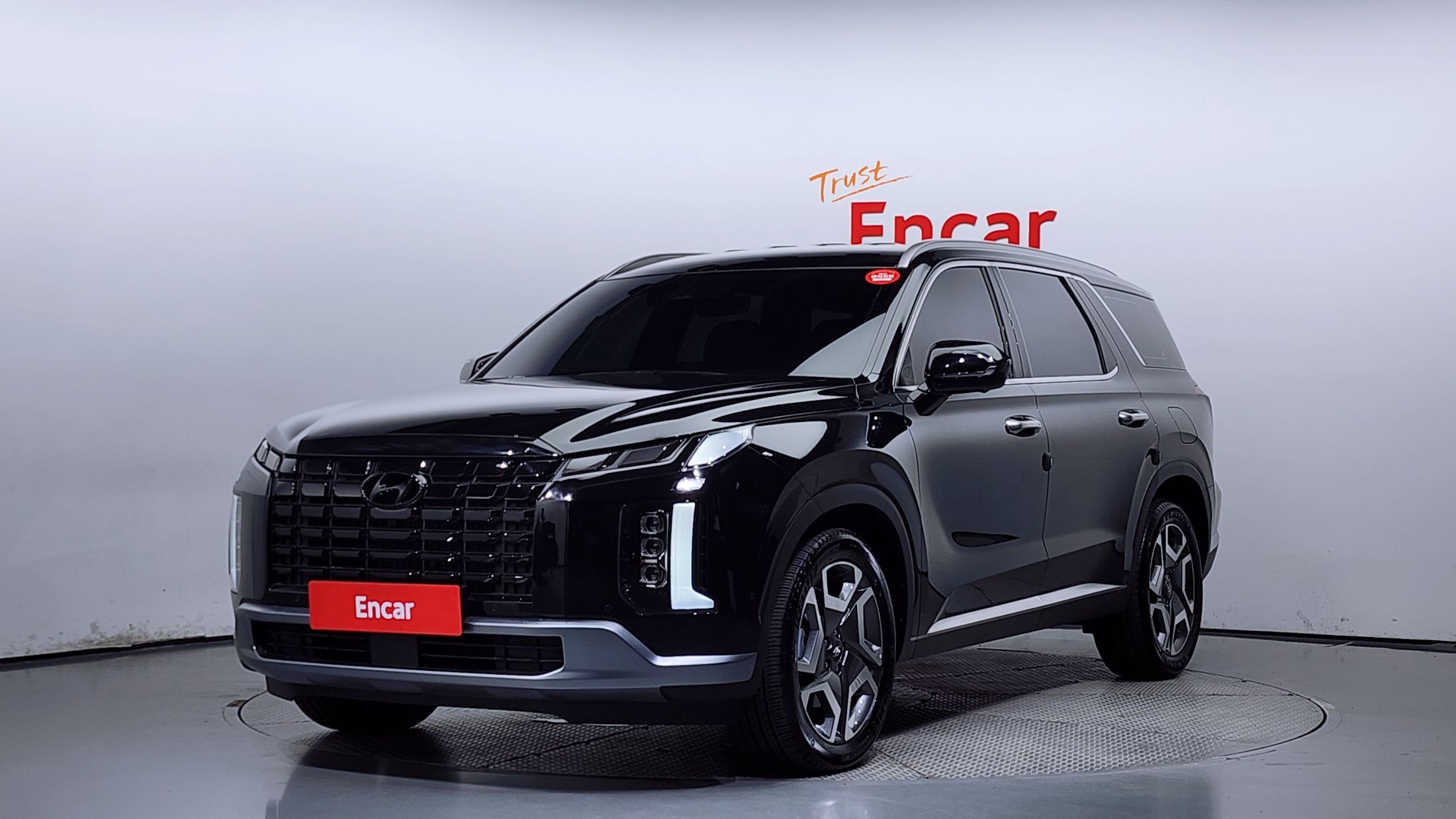 HYUNDAI PALISADE 2024