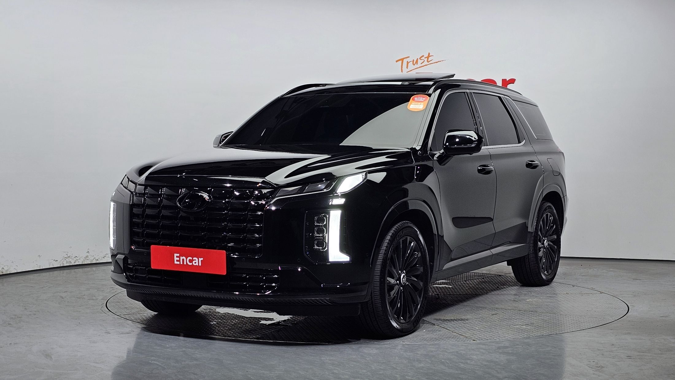 HYUNDAI PALISADE 2024