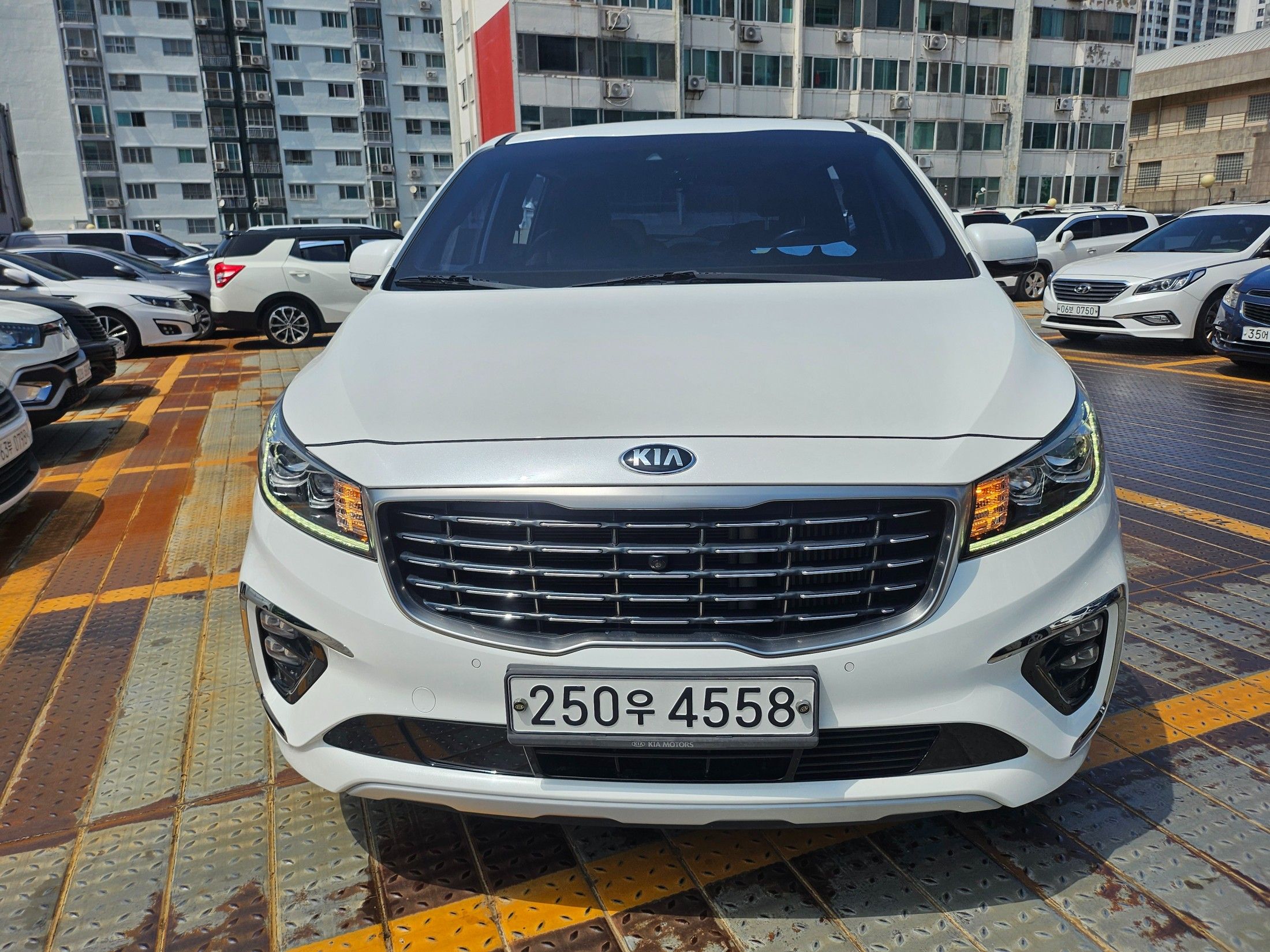 KIA CARNIVAL 2019