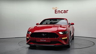 FORD MUSTANG 2019