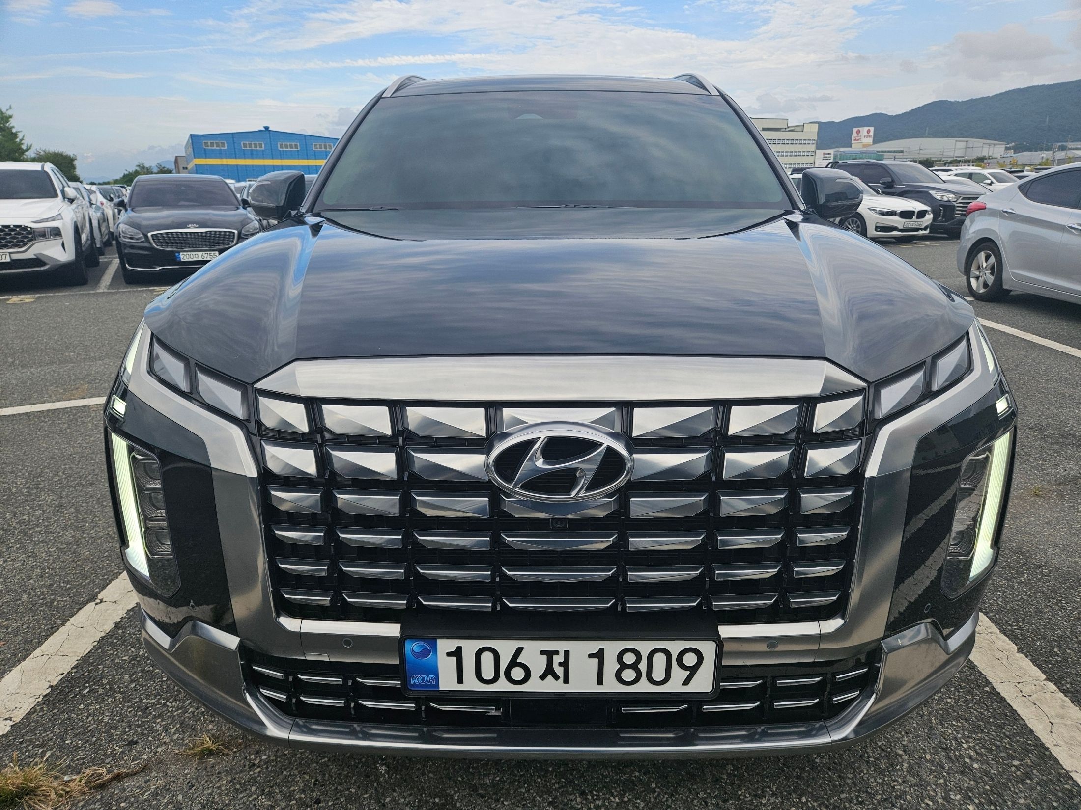 HYUNDAI PALISADE 2022