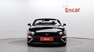 FORD MUSTANG 2019