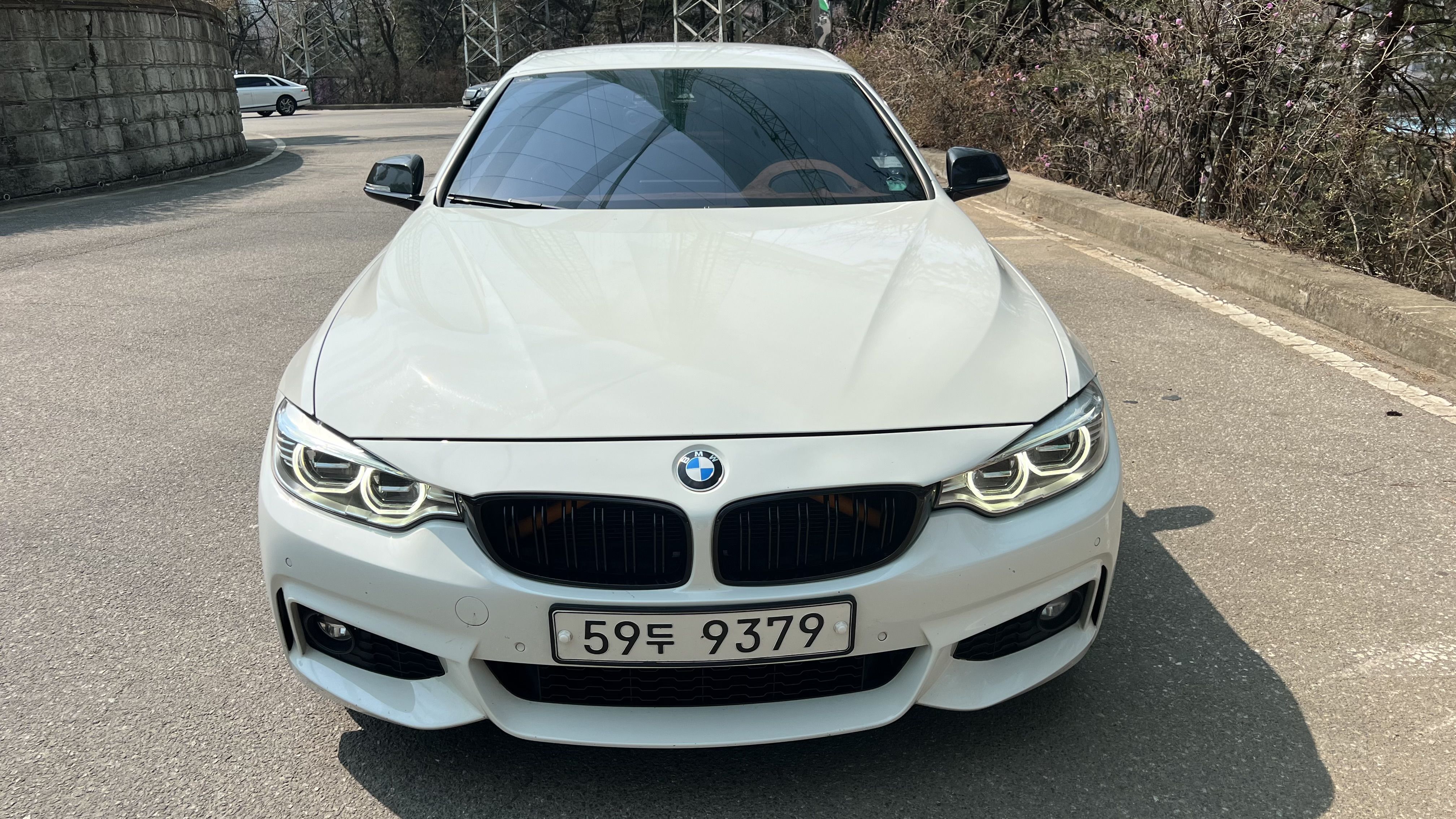 BMW 4-SERIES F32 2017