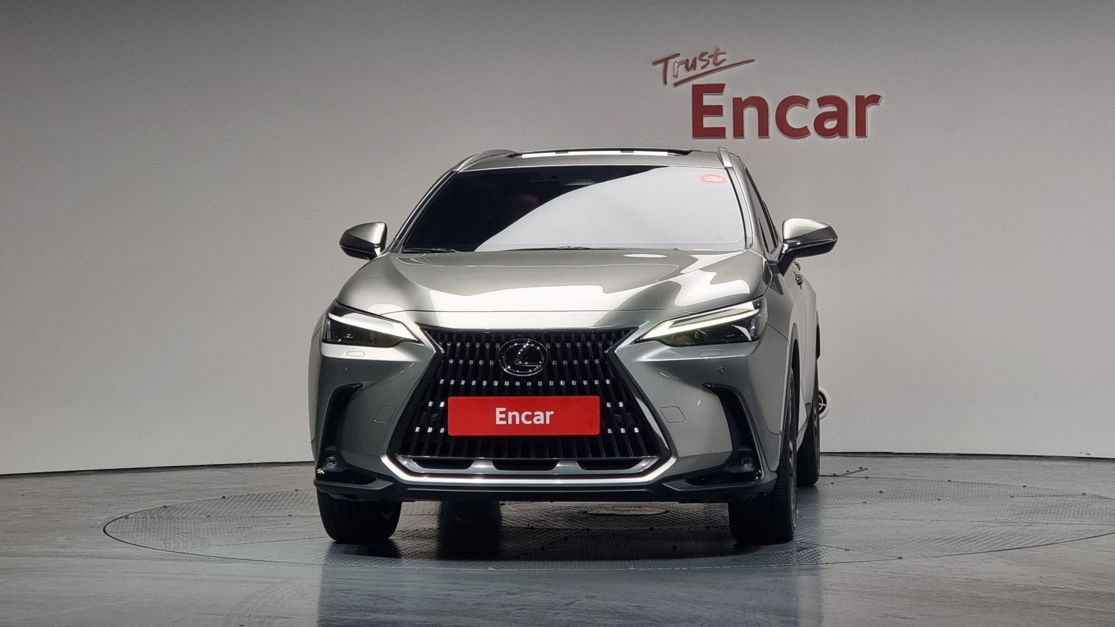 LEXUS NX350H 2024