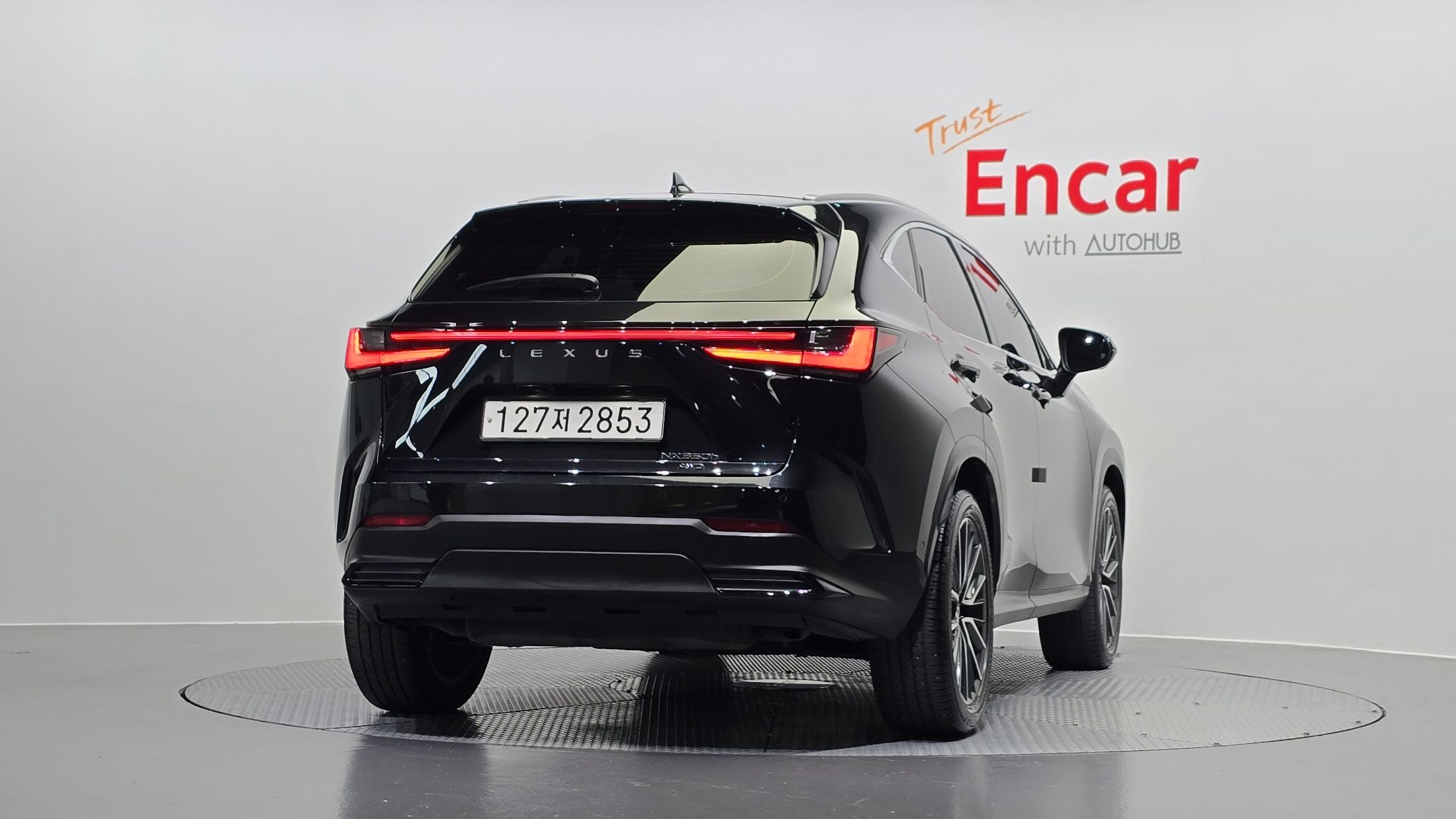 LEXUS NX350H 2023
