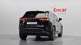 LEXUS NX350H 2023
