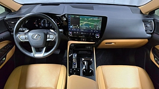 LEXUS NX350H 2023