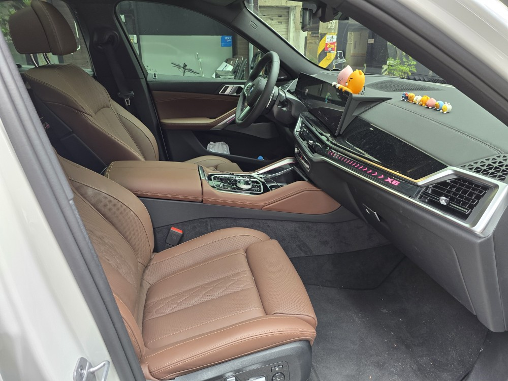 BMW X6 G06