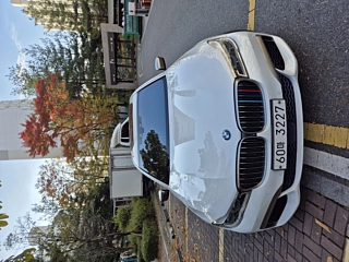 BMW 7-SERIES G11 2017