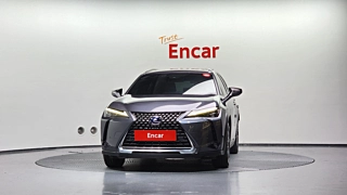 LEXUS UX300E 2022