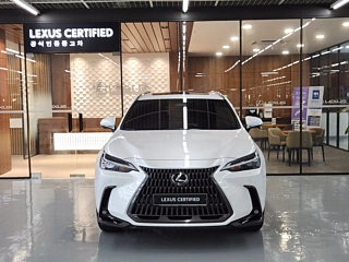 LEXUS NX450H+ 2025