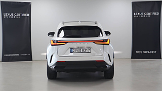 LEXUS NX350H 2024
