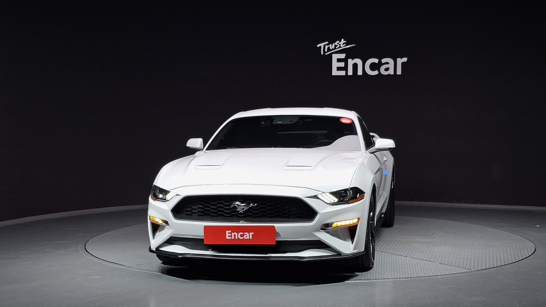 FORD MUSTANG 2019