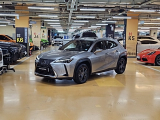 Заказать LEXUS UX300H