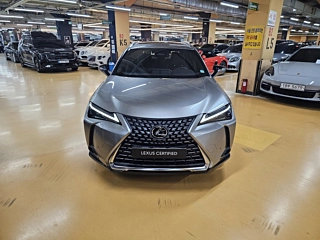 Заказать LEXUS UX300H