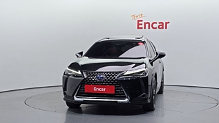 LEXUS UX250H 2019