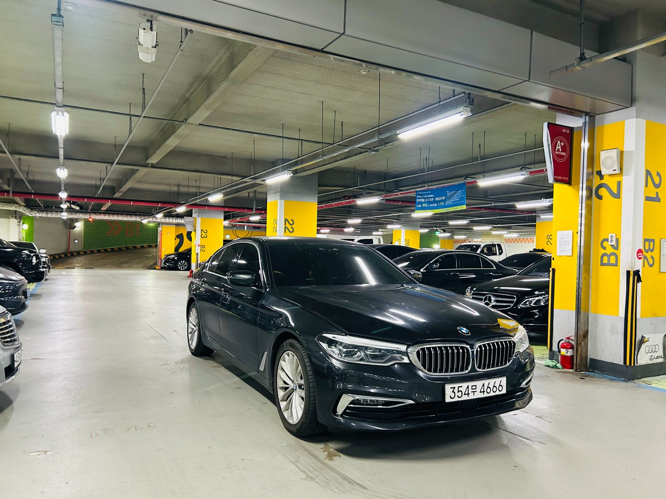 BMW 5-SERIES G30 2019