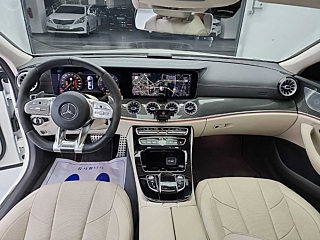 MERCEDES BENZ CLS-CLASS C257 2019