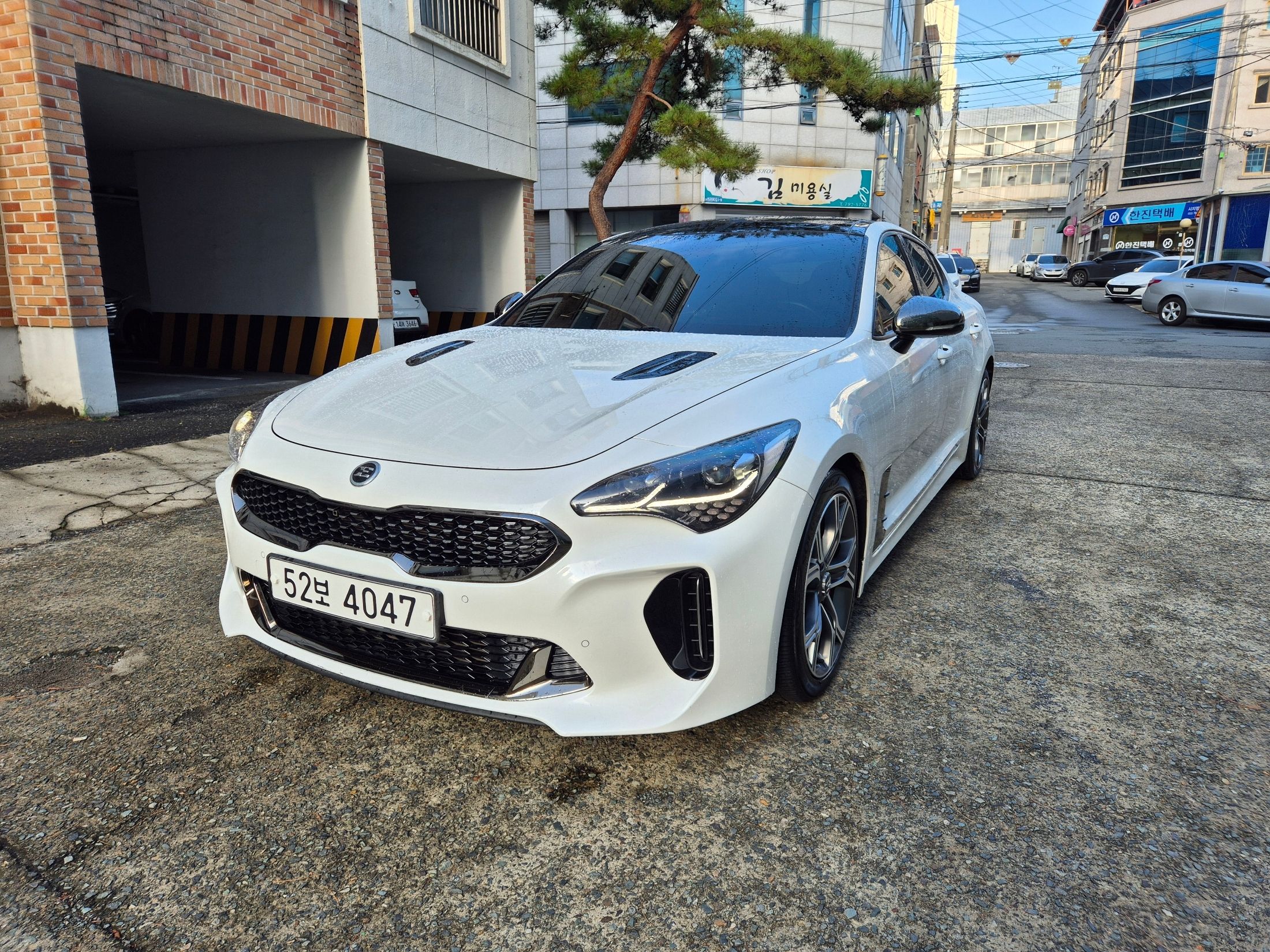 KIA STINGER 2019