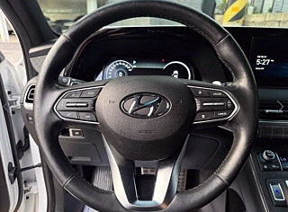 HYUNDAI PALISADE  Diesel 2.2 4WD 2022