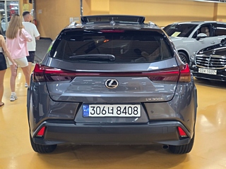 LEXUS UX300H 2024
