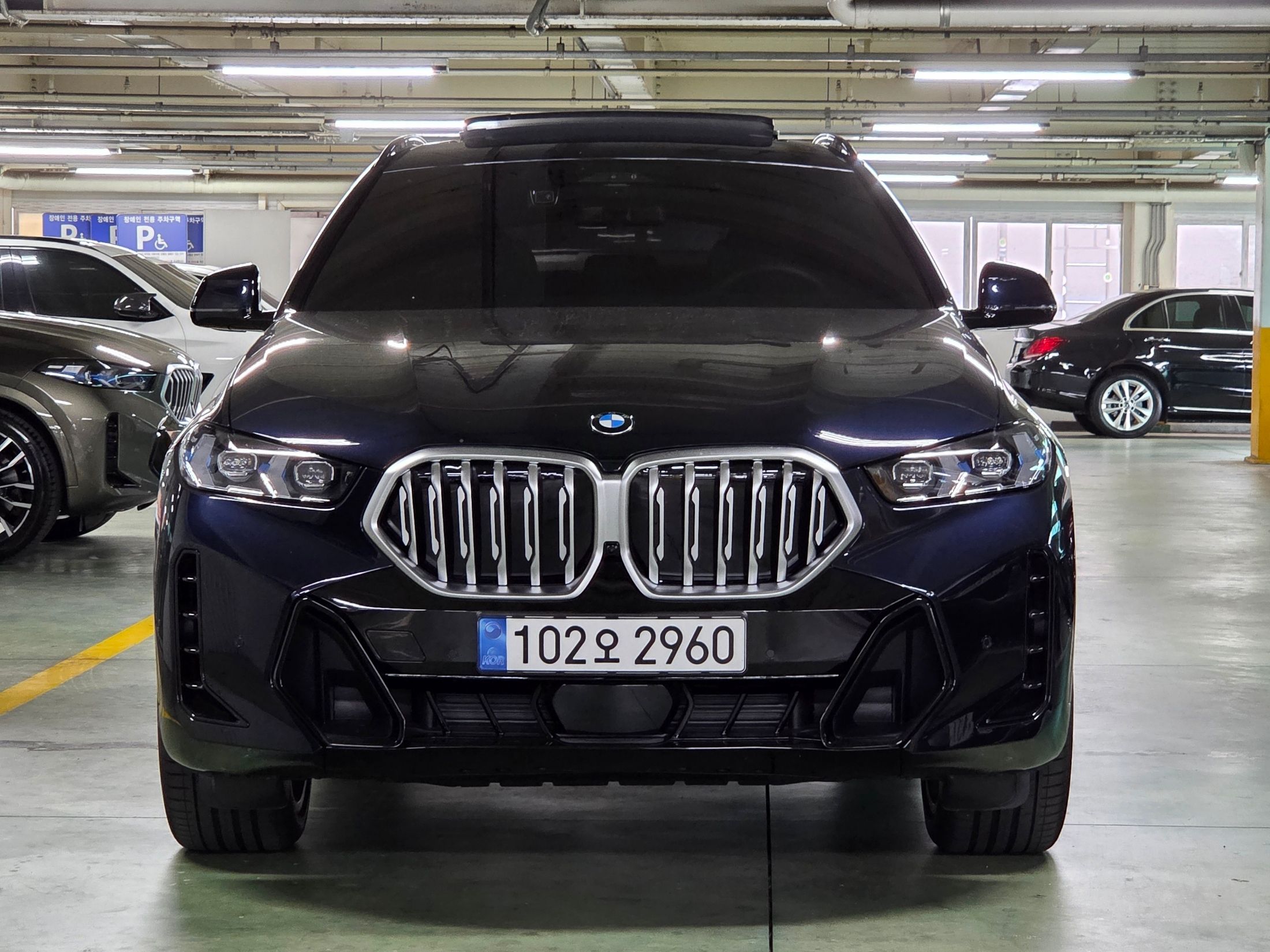 BMW X6 G06 2025
