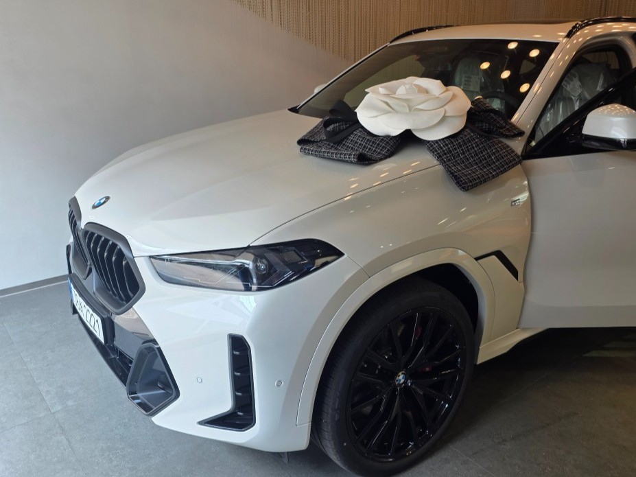 BMW X6 G06 2025
