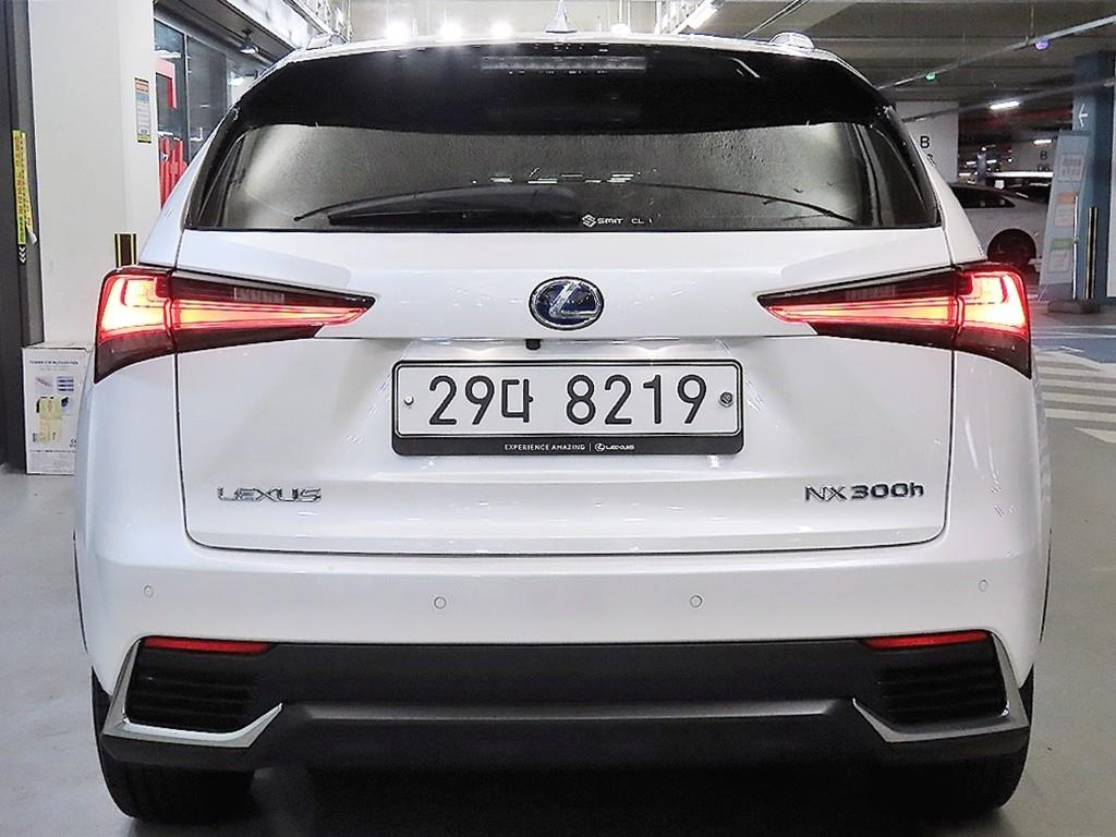 LEXUS NX300H 2019