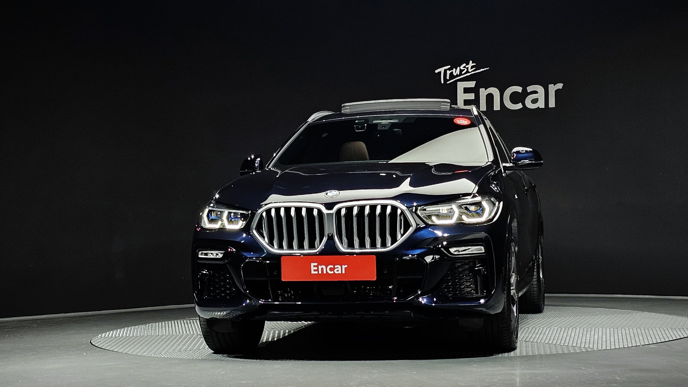 BMW X6 G06 2021