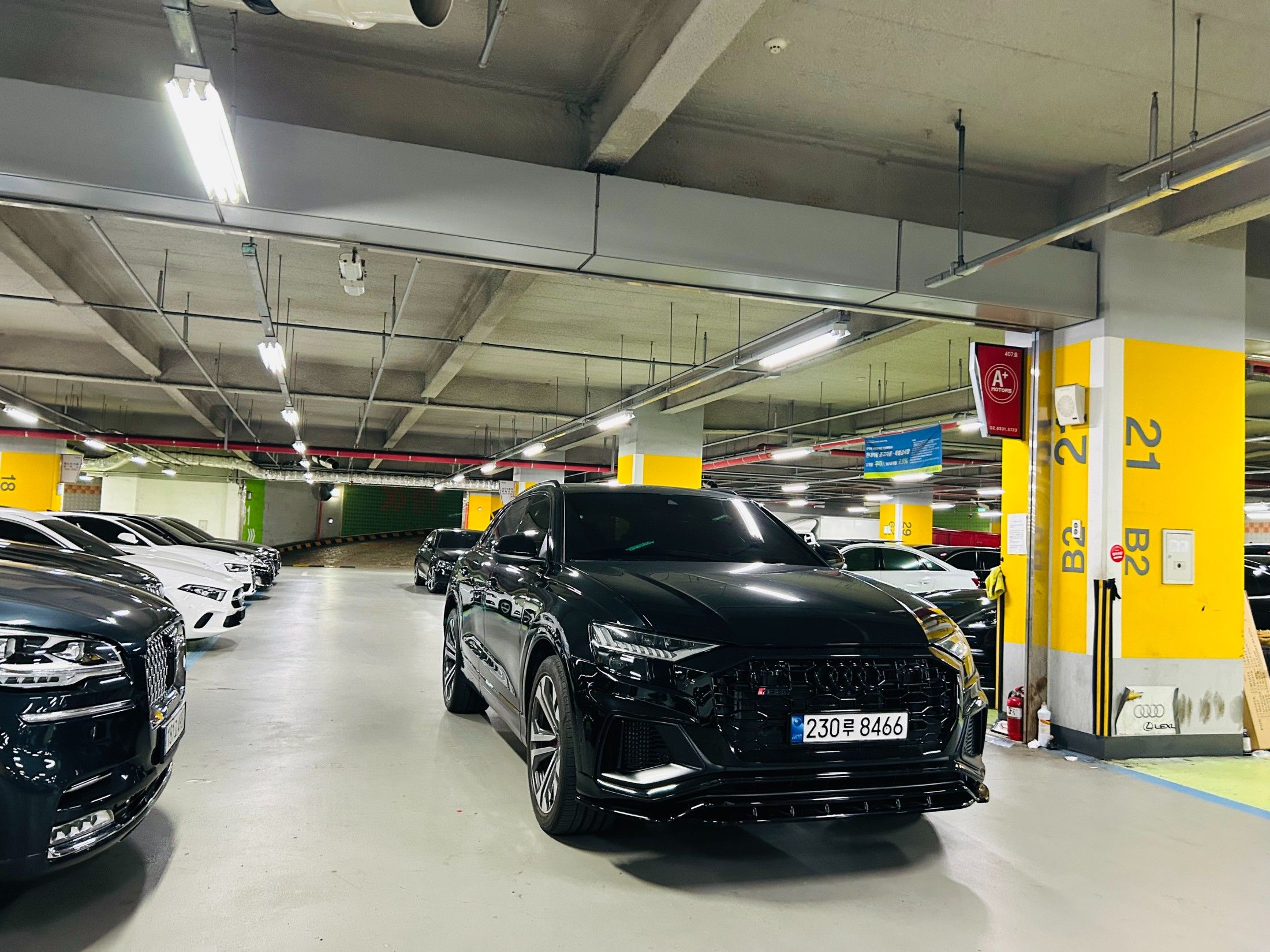 AUDI Q8 4M 2023