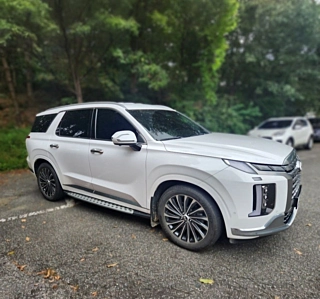 HYUNDAI PALISADE 2022
