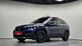 BMW X1 F48  xDrive 25i Erd Van Tizzy 2020