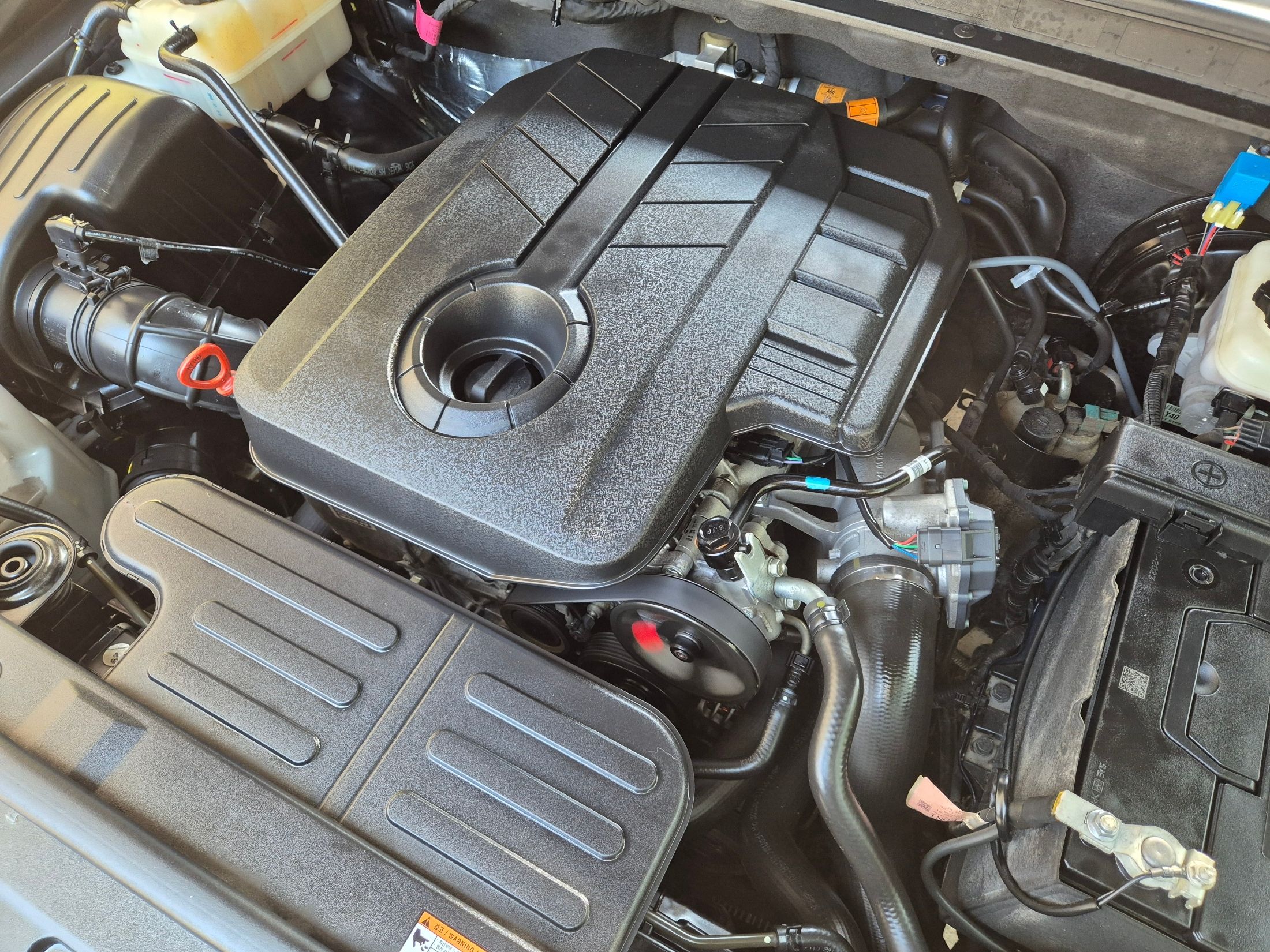 SSANGYONG REXTON SPORTS 2019