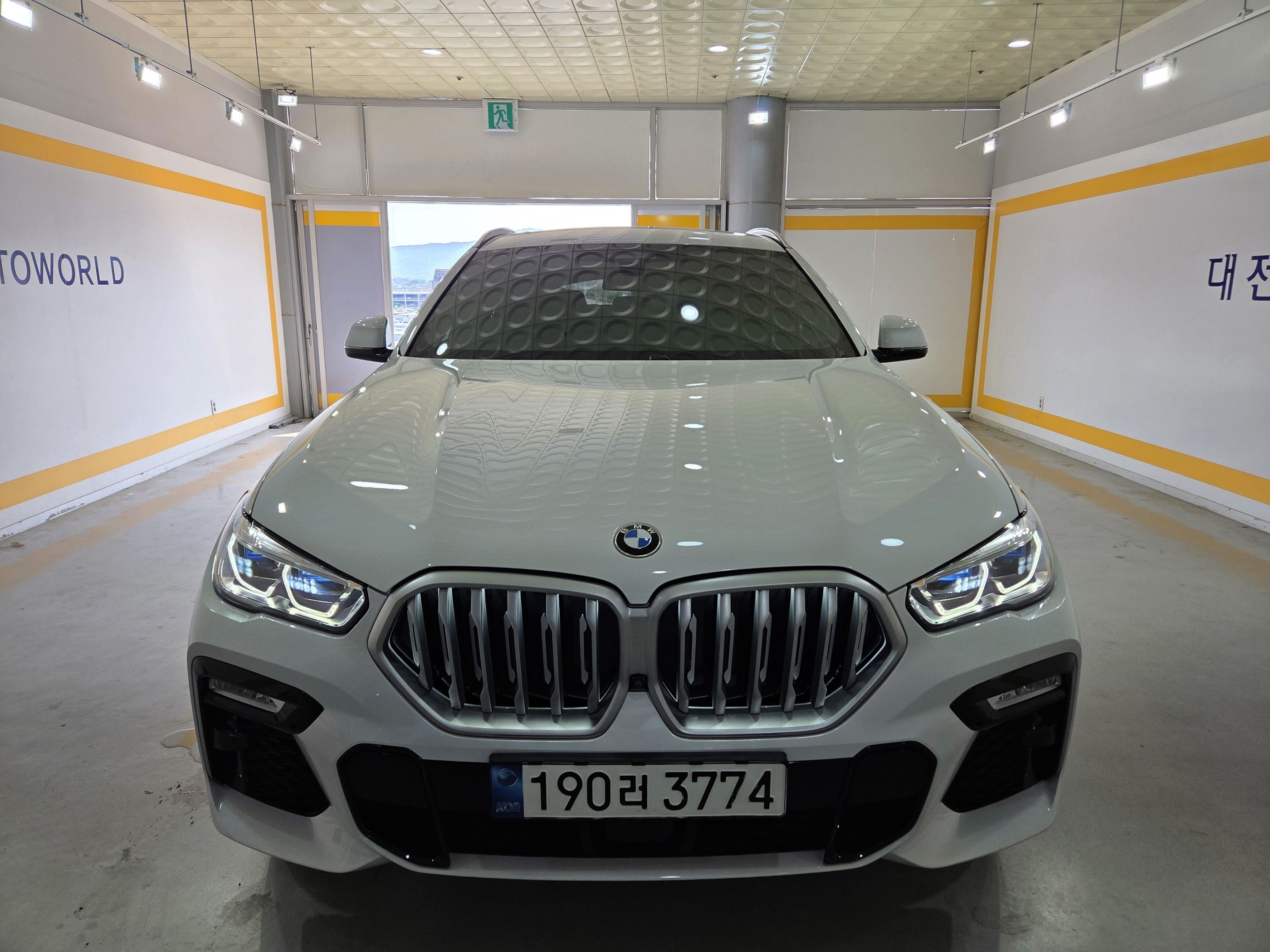 BMW X6 G06 2021