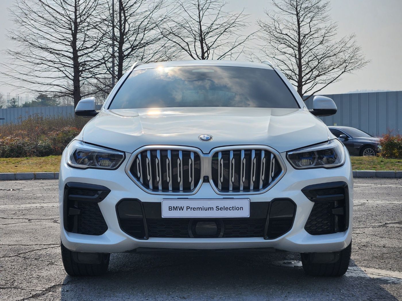BMW X6 G06 2021