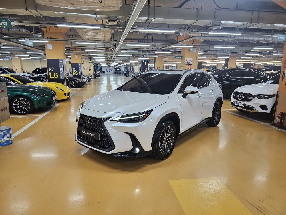 LEXUS NX450H+ 2024