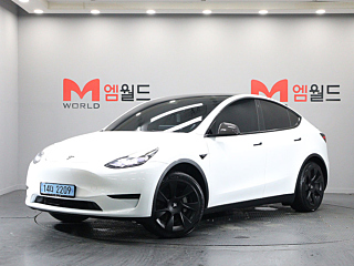 tesla model-y