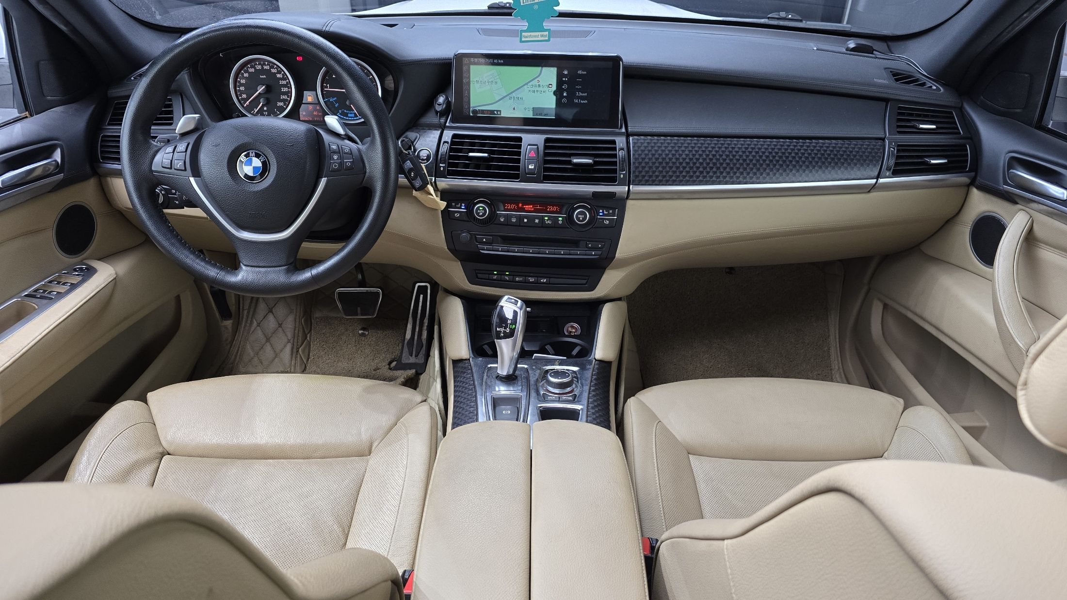 BMW X6 E71 2010
