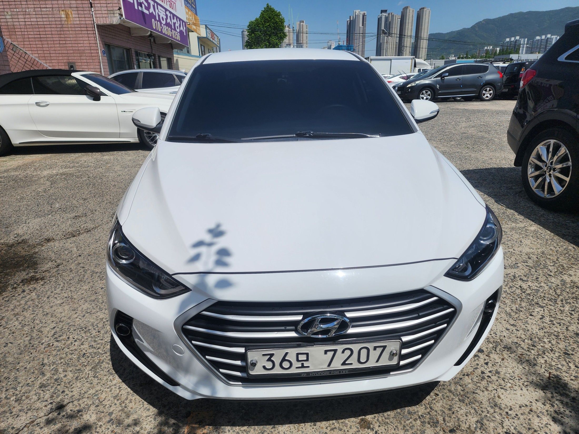 HYUNDAI AVANTE AD