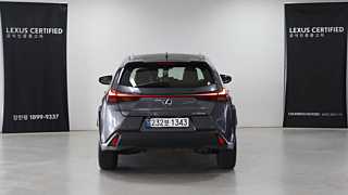 LEXUS UX300H 2024