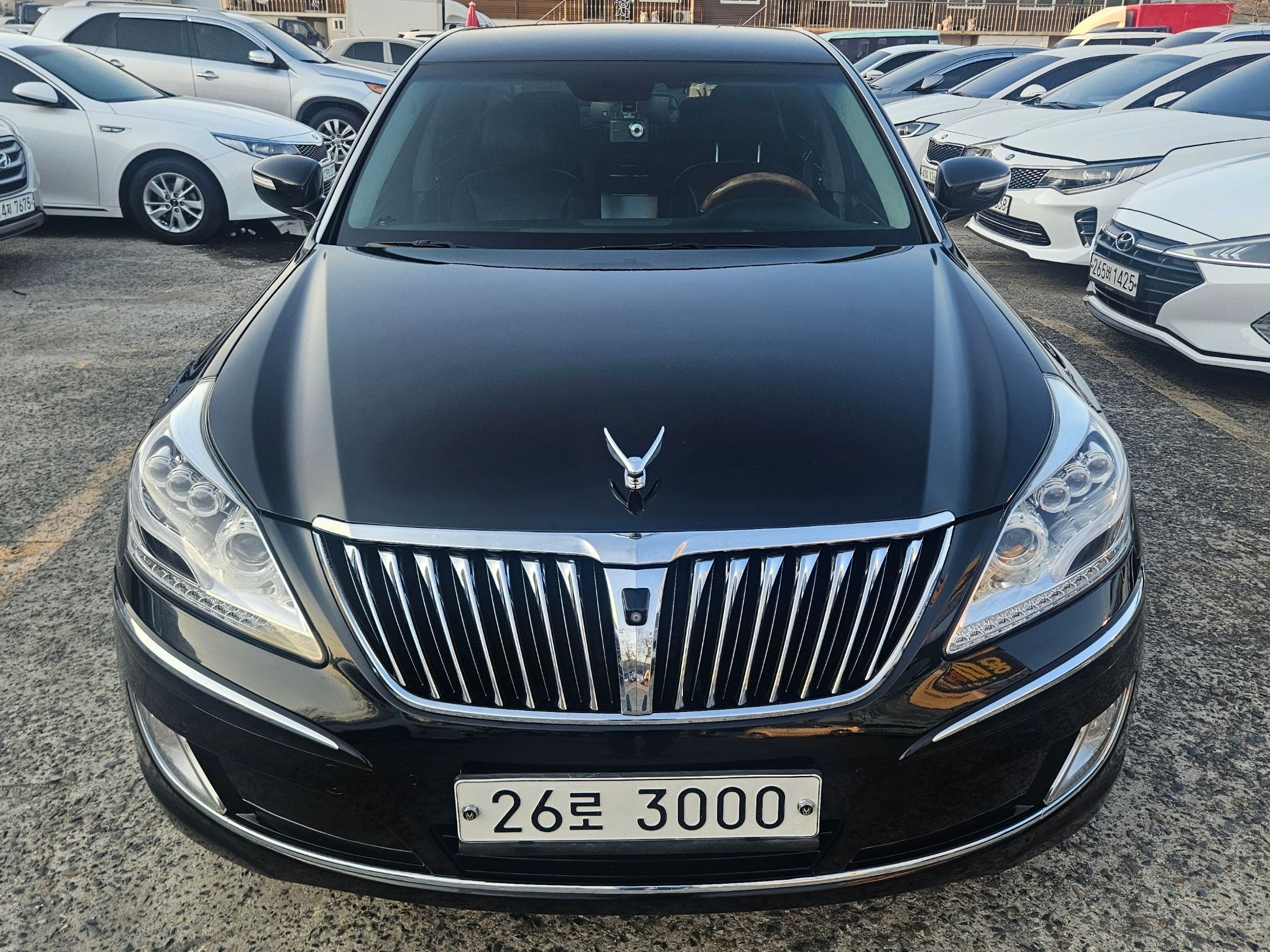 HYUNDAI EQUUS NEW