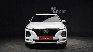 HYUNDAI SANTAFE TM 2019