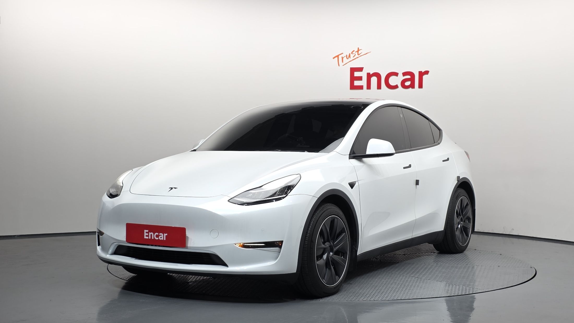 TESLA MODEL Y, 2021 год