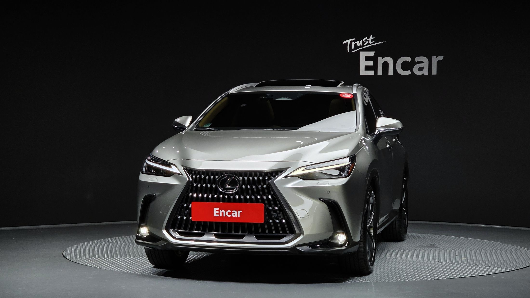 LEXUS NX350H 2023