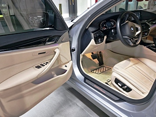 BMW 5-SERIES G30 2019