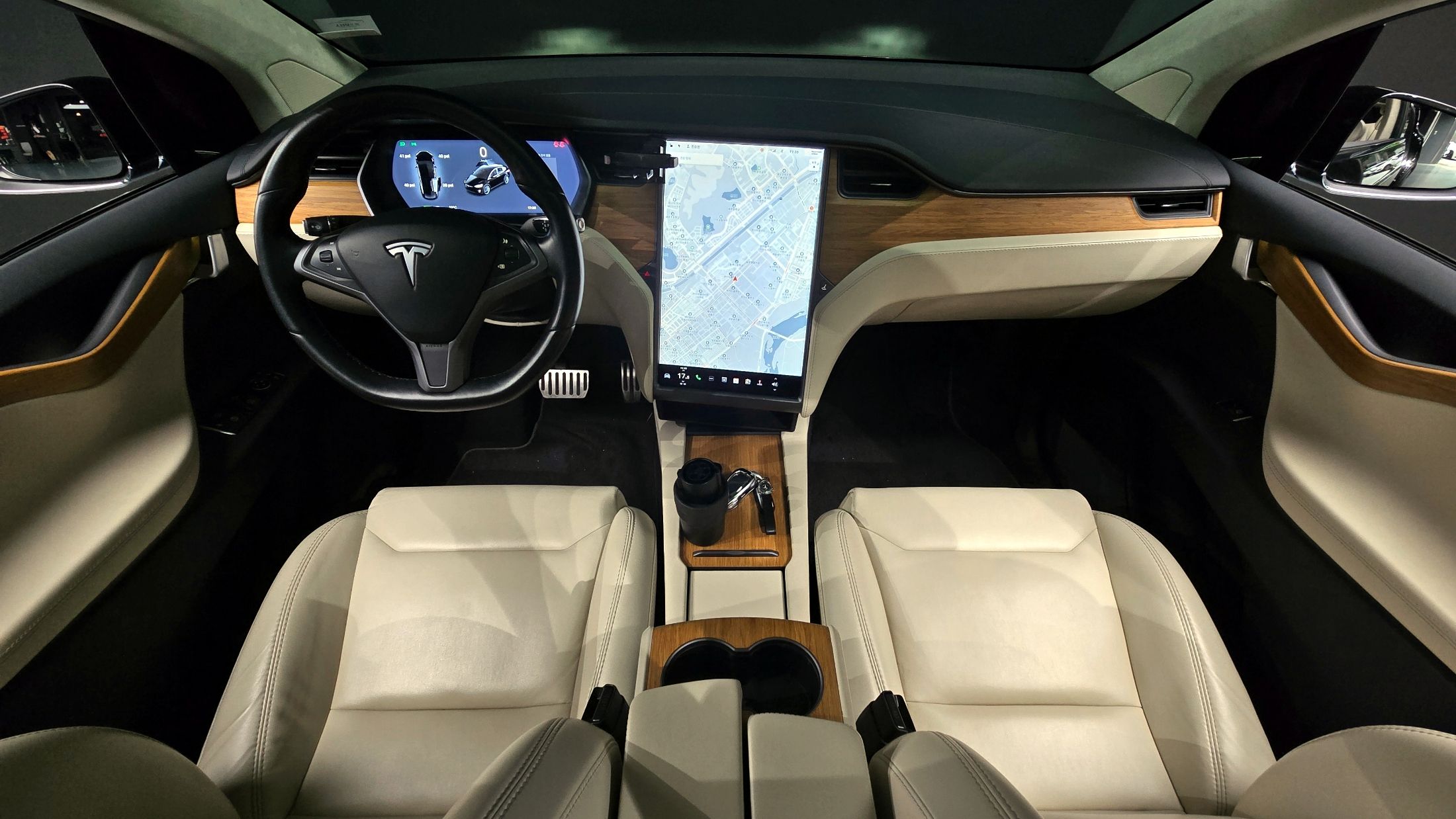 TESLA MODEL X 2019