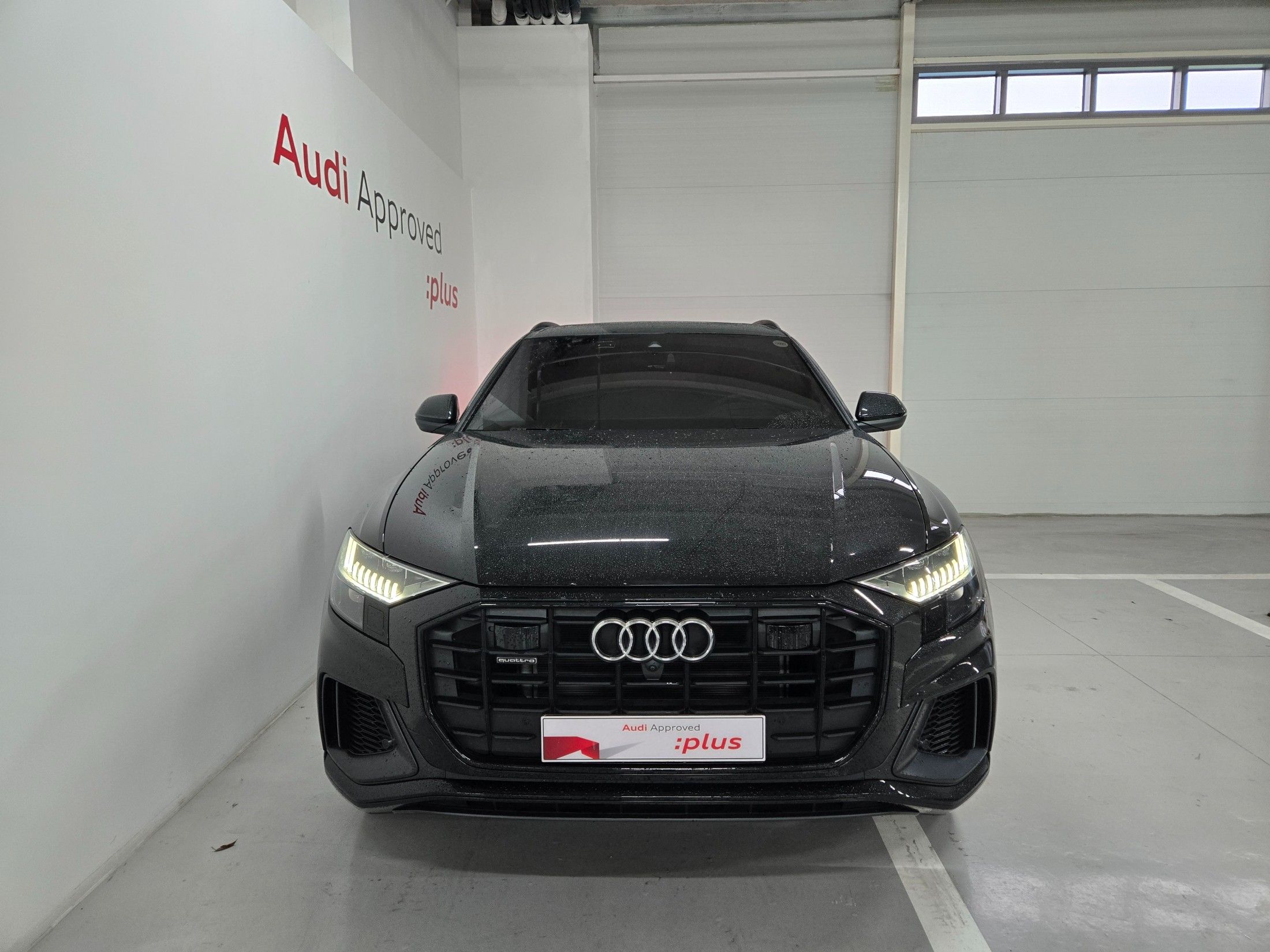 AUDI Q8 4M 2023