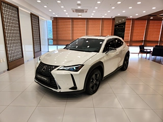 Заказать LEXUS UX300H